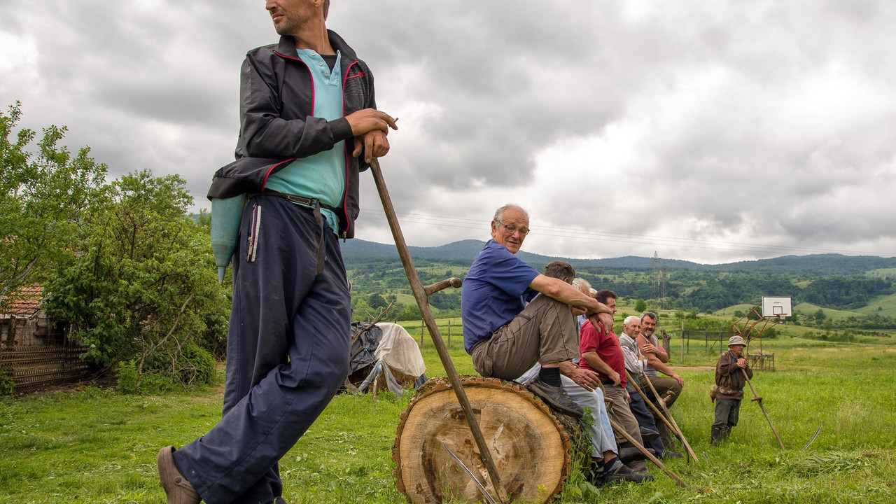 budući malinari