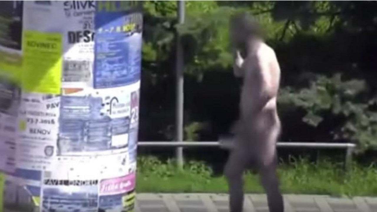 Go čovek