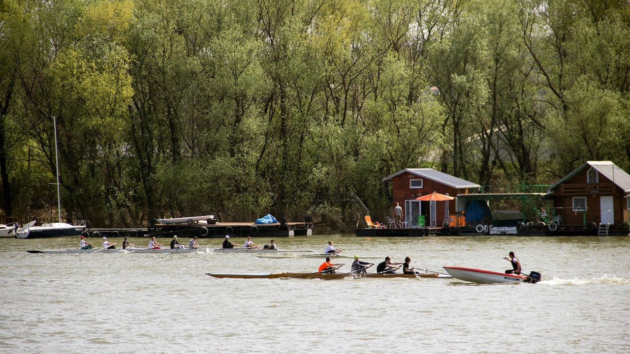 Sava