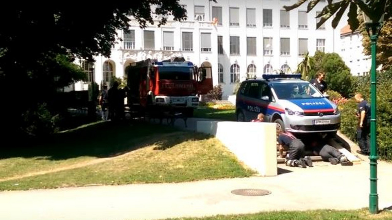austrijska policija