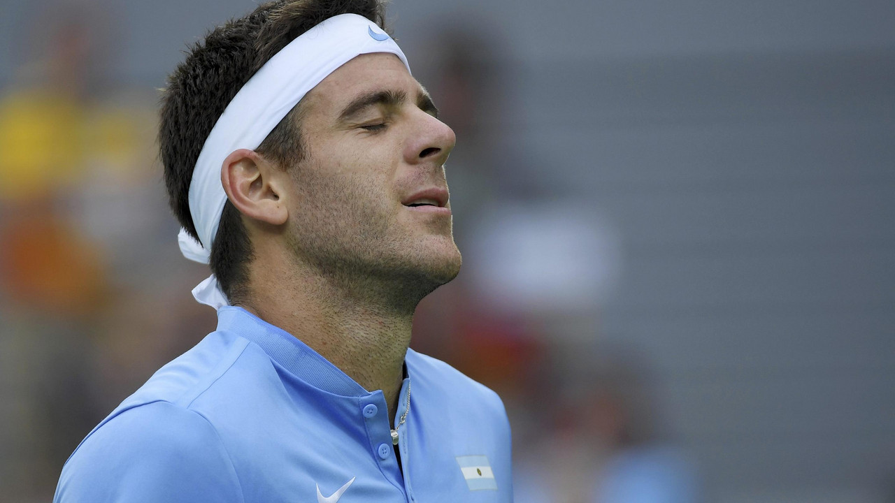 Huan-Martin Del Potro