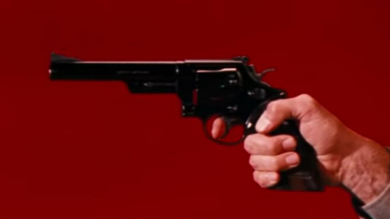 Magnum 44