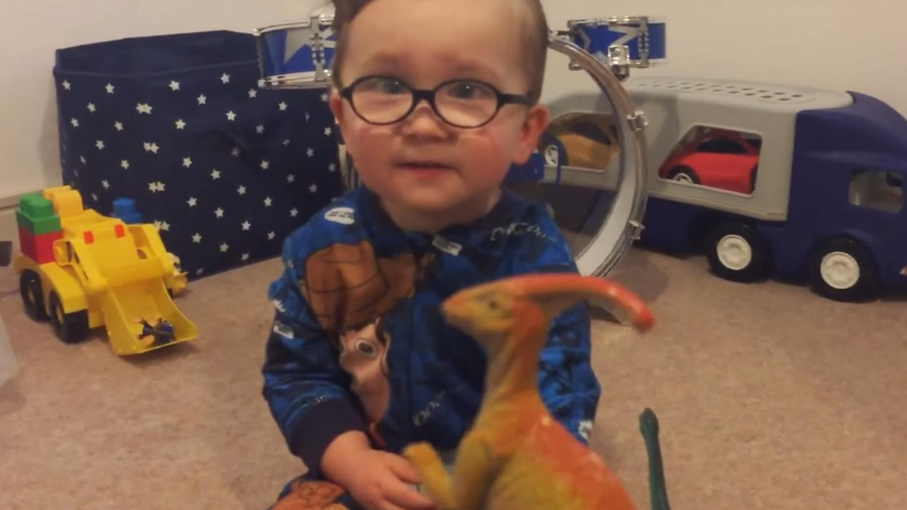 Stručnjak za dinosauruse