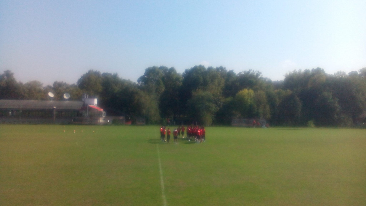 Fudbaleri Crvene zvezde