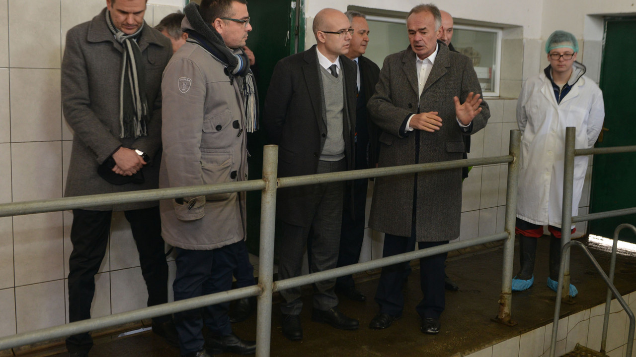 Miloš Vučević i Branislav Nedimović