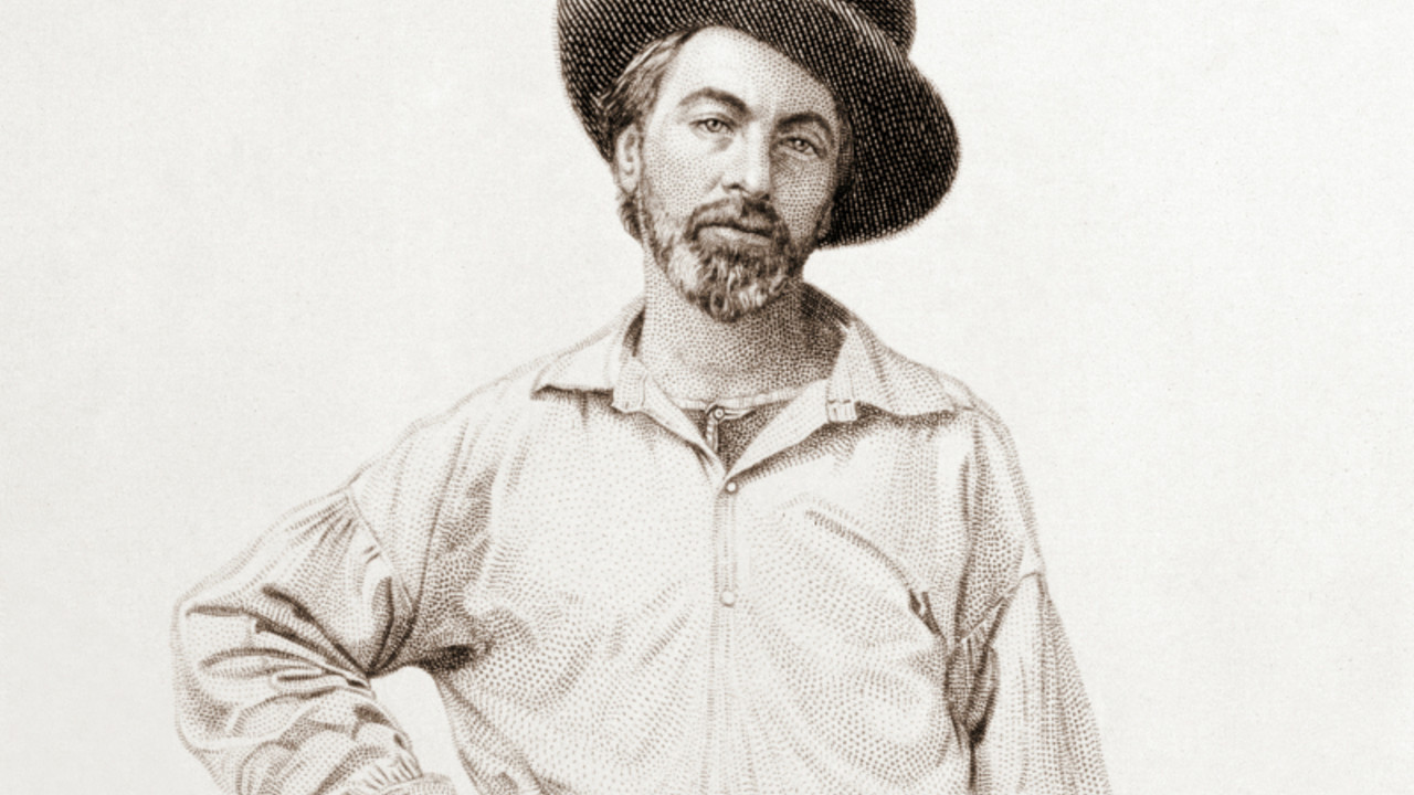 Volt Vitman