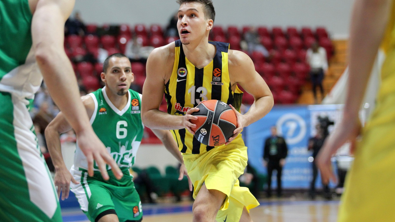 Bogdan Bogdanović