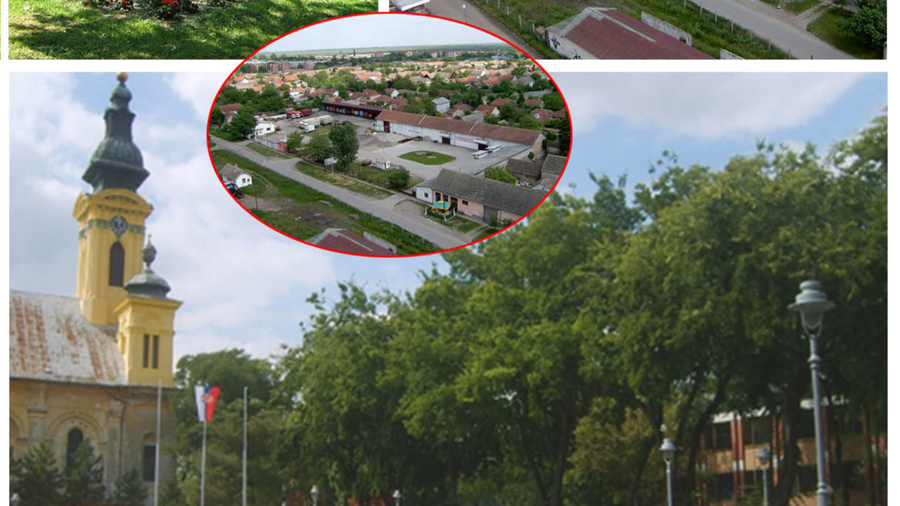 Odžaci