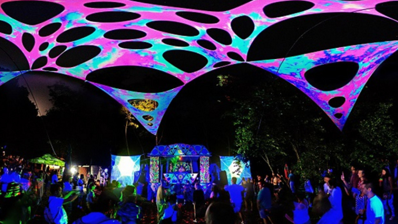Forest Fest