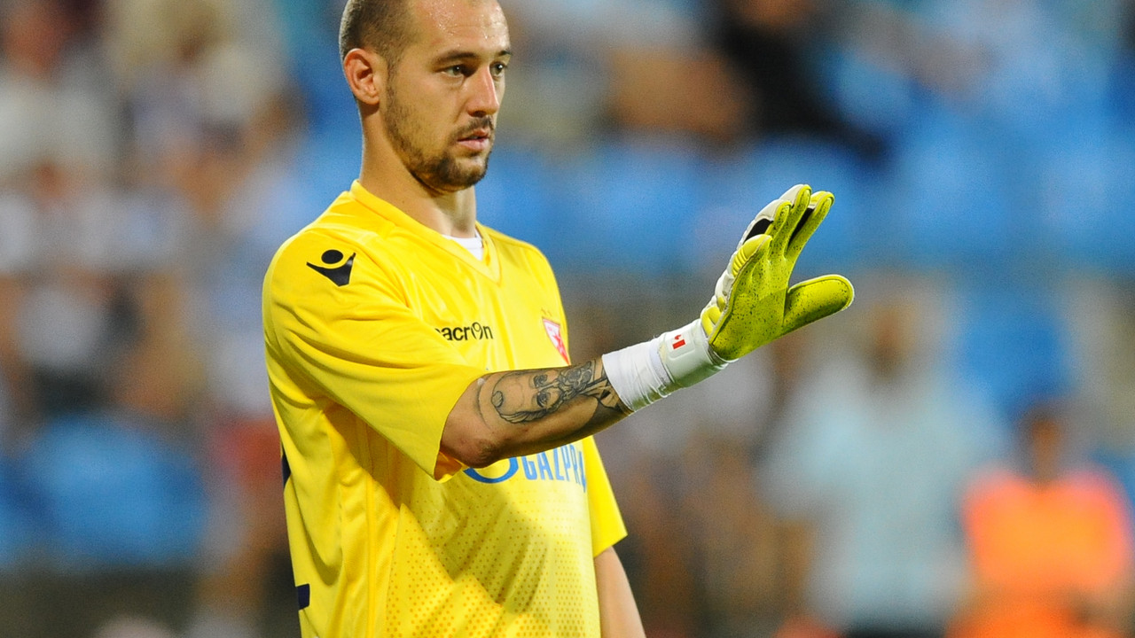 Milan Borjan