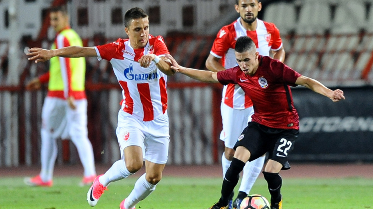 srđan plavšić