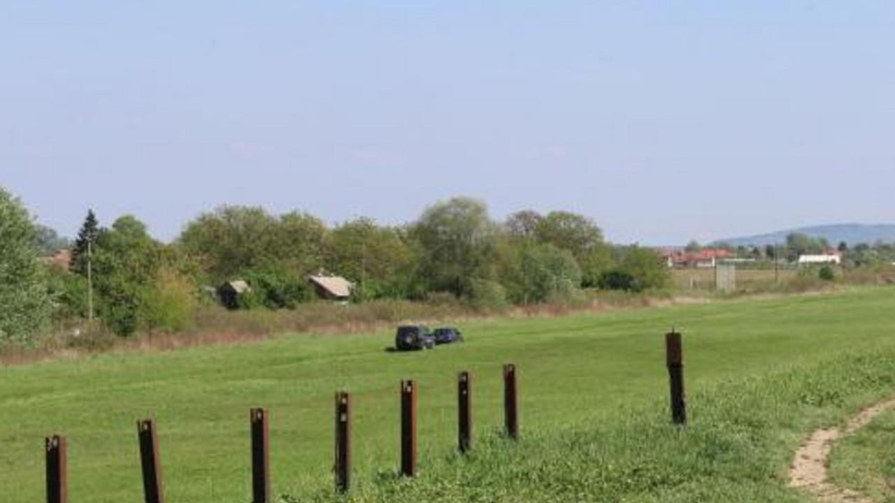 Borča