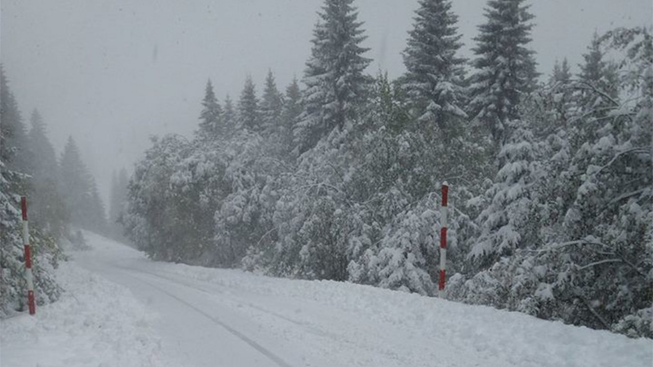 Kopaonik