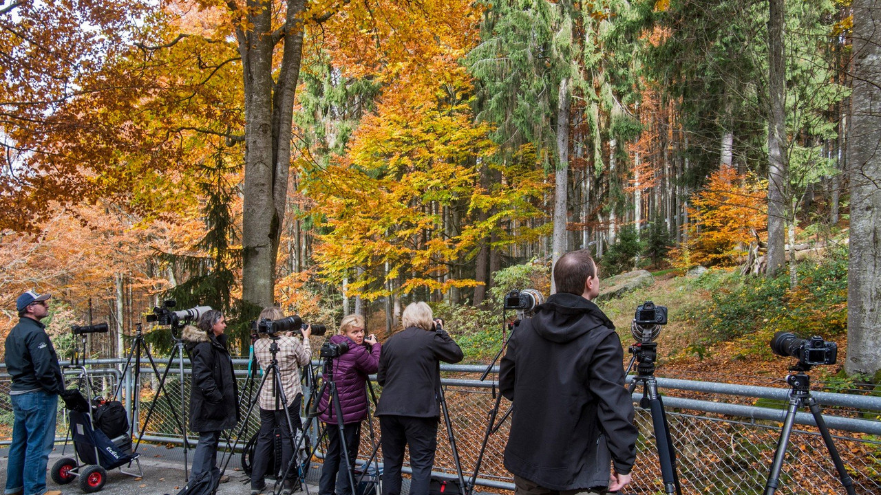 fotografi