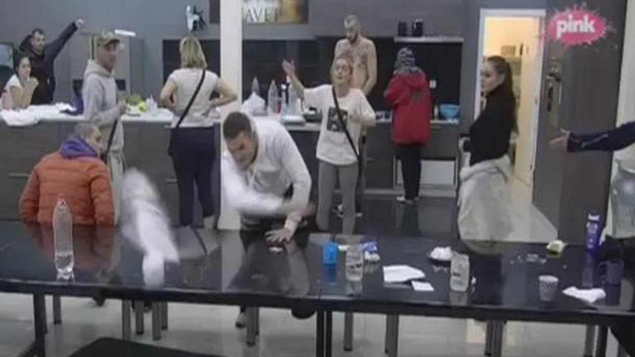 zadruga