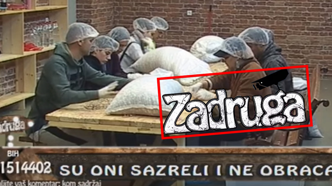 Zadruga