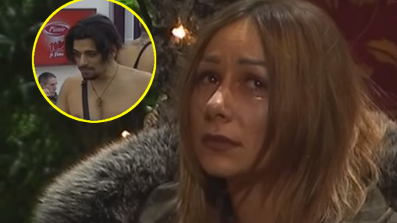 maca i bora