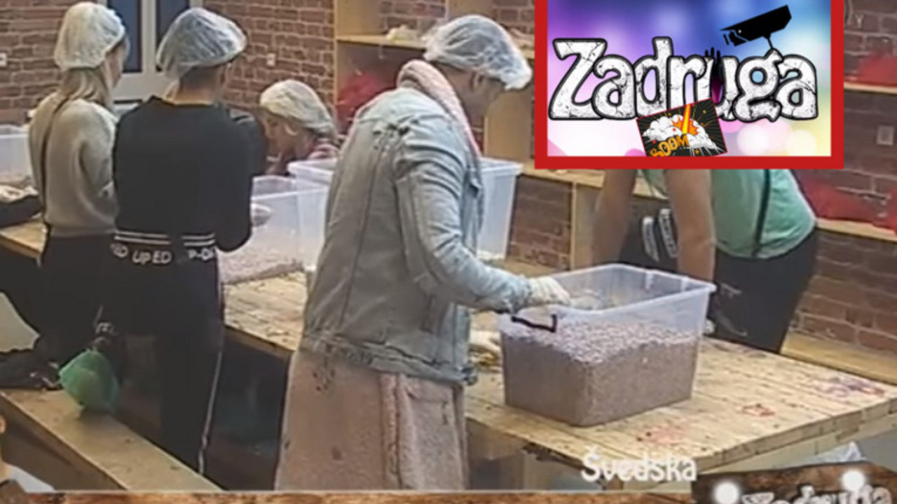 Zadruga