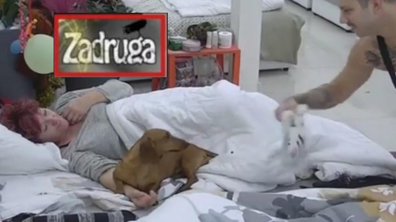 Zadruga