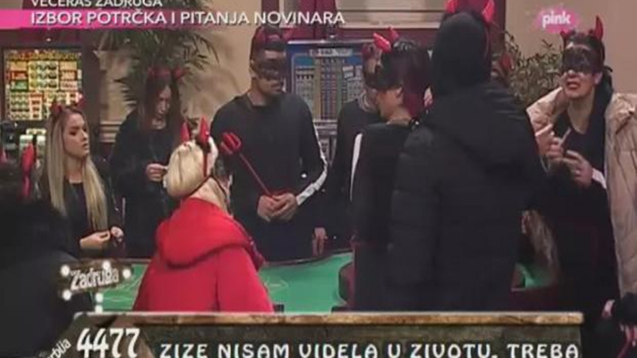 zadruga