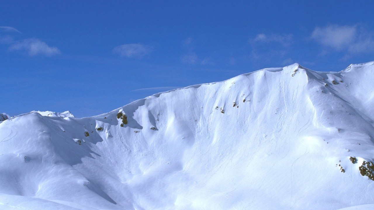 Alpi