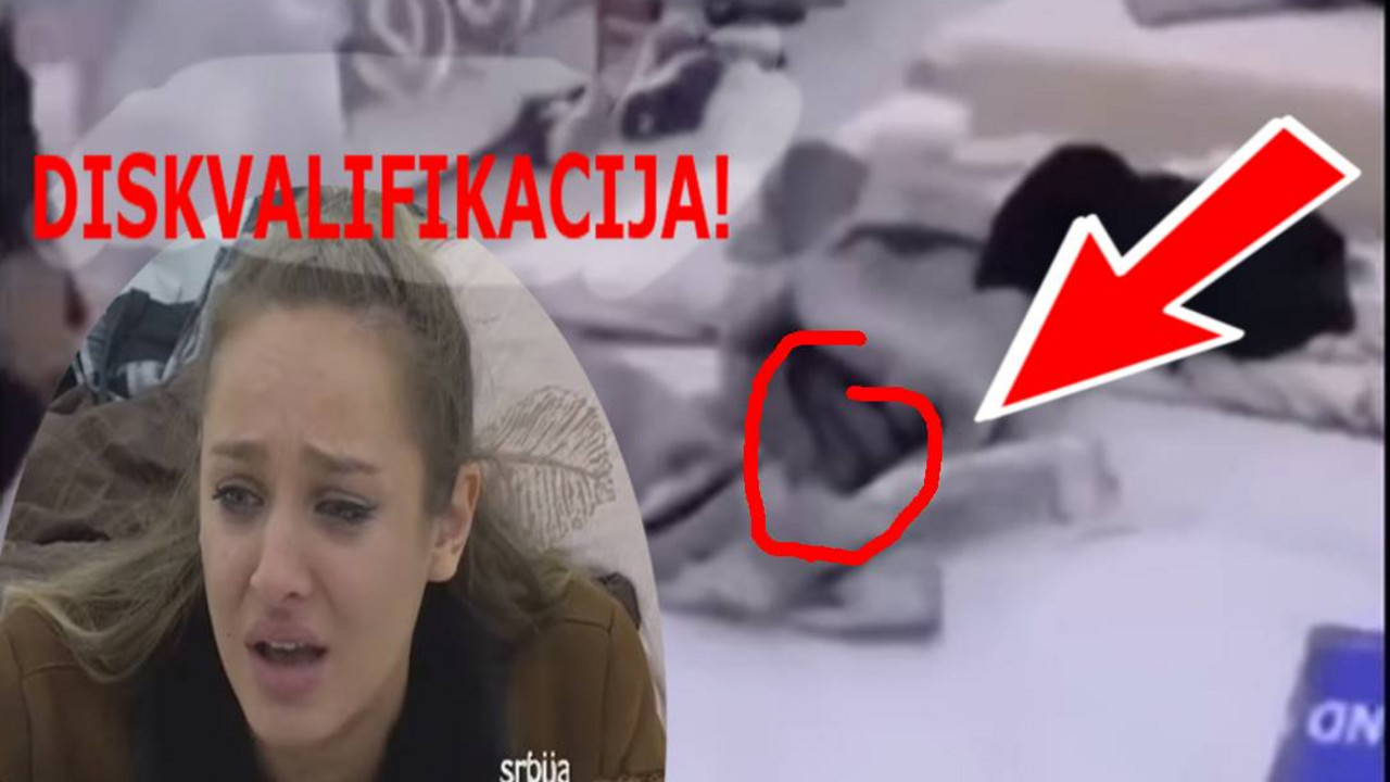 zadruga