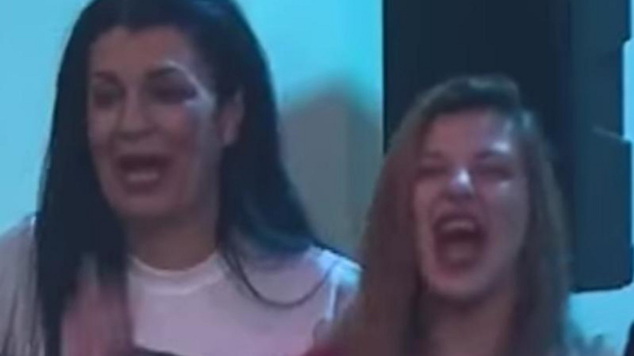 zadruga