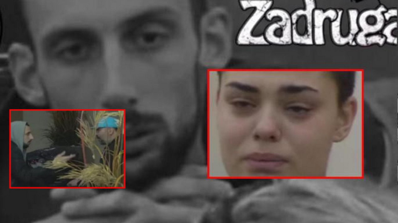 zadruga