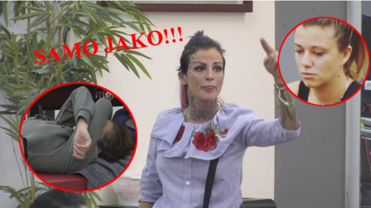 zadruga