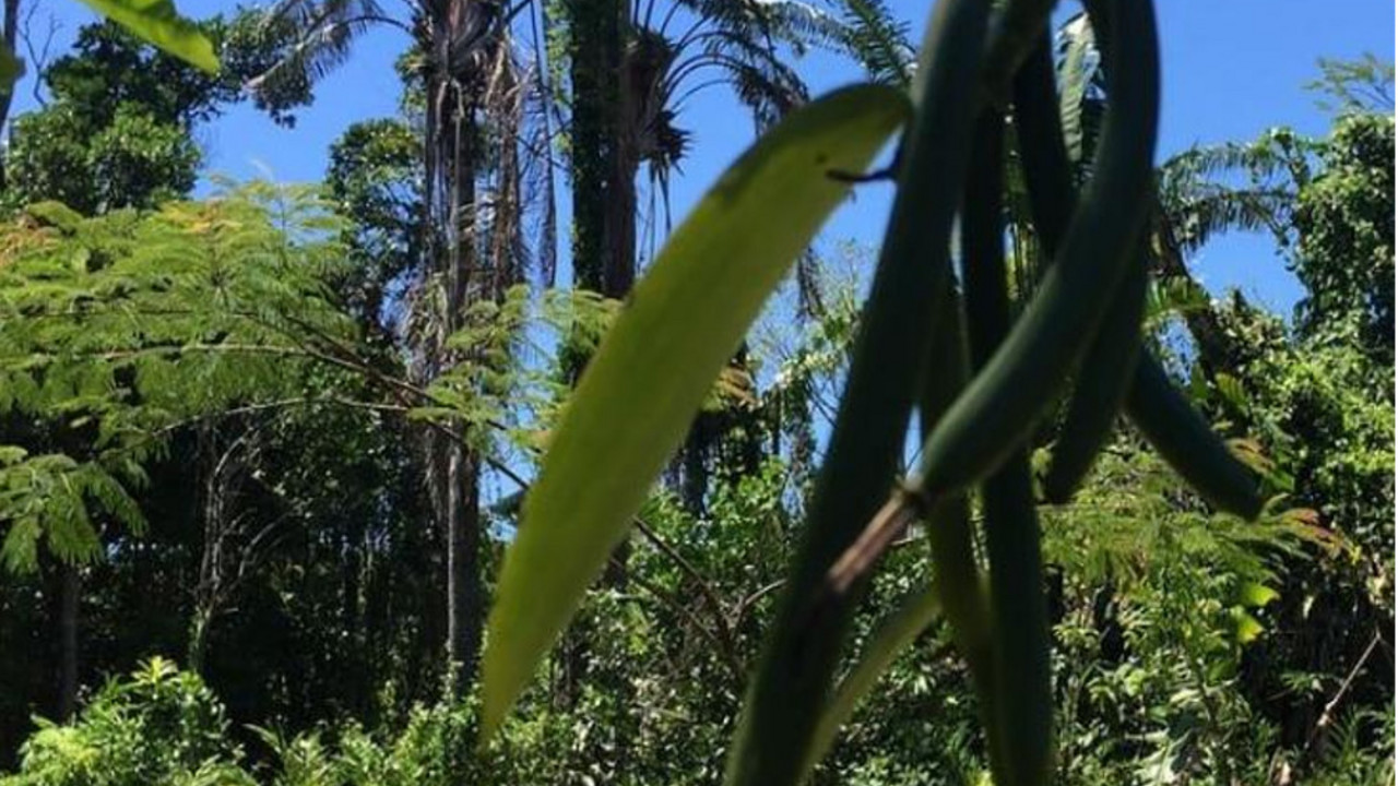madagaskar