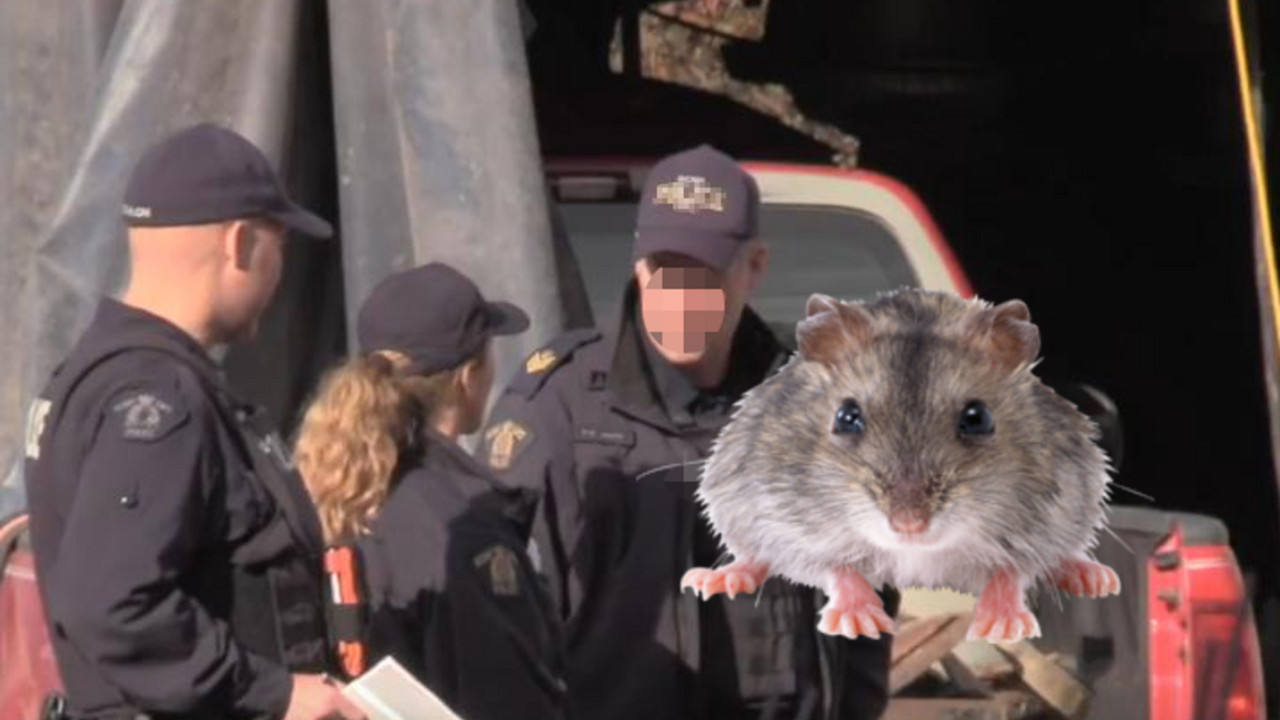 Policija