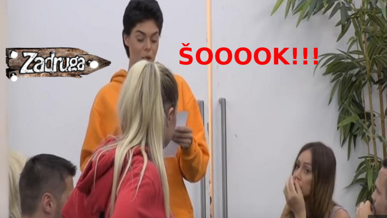 zadruga