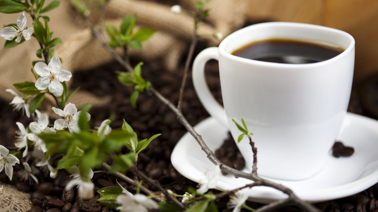 Kafa