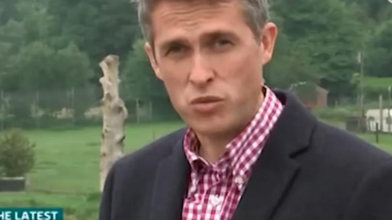 Ričard Medli