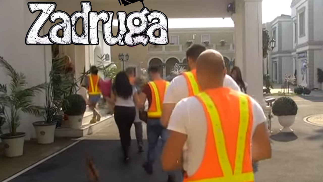 zadruga