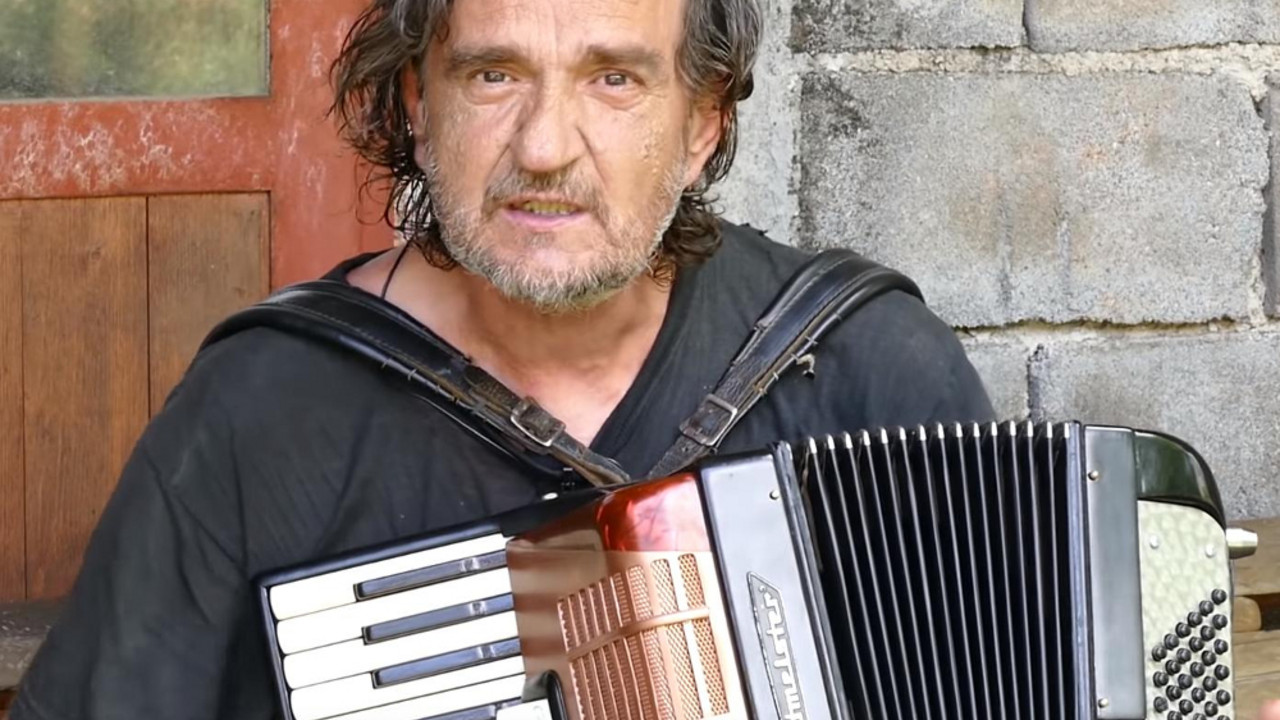 Harmonikaš
