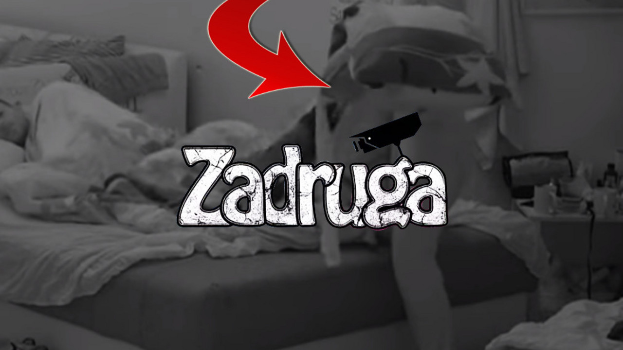 zadruga