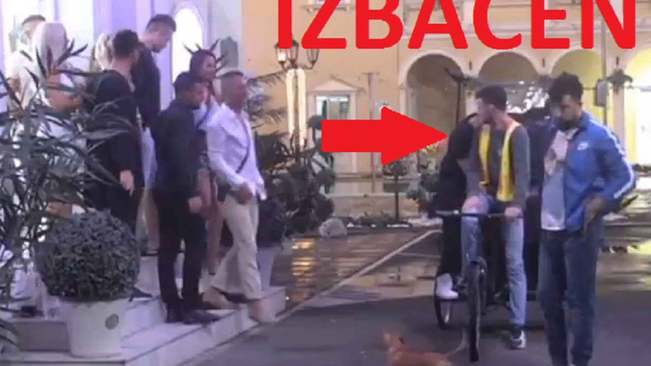 zadruga