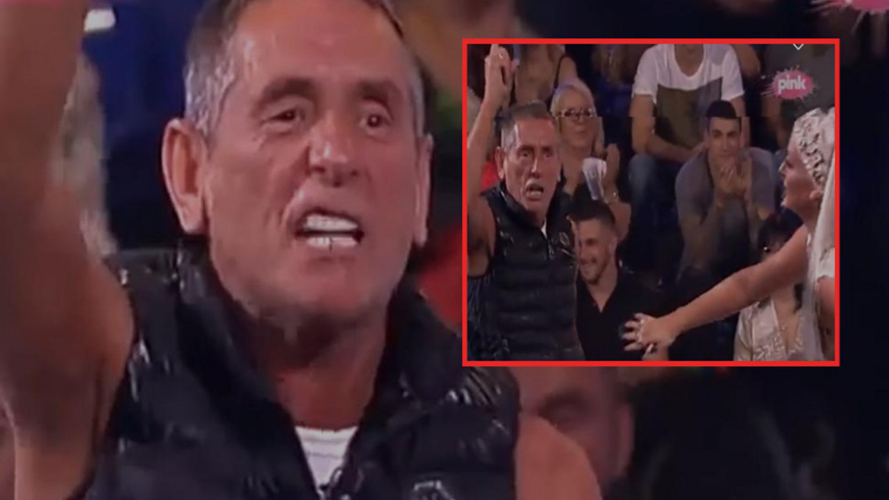 Lepi Mića