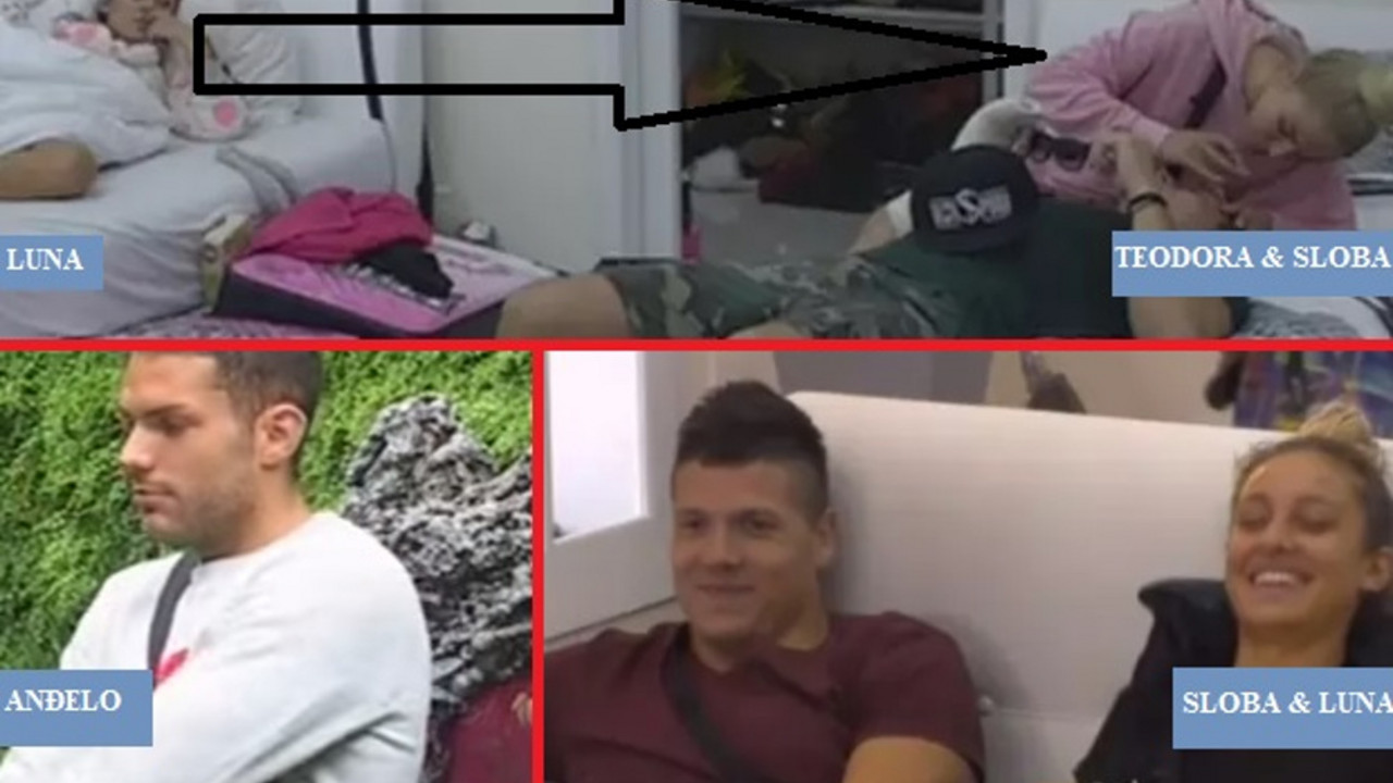 zadruga