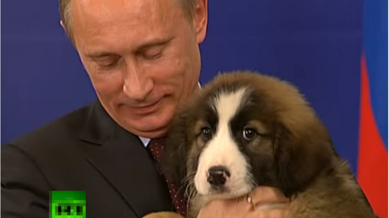 Putin