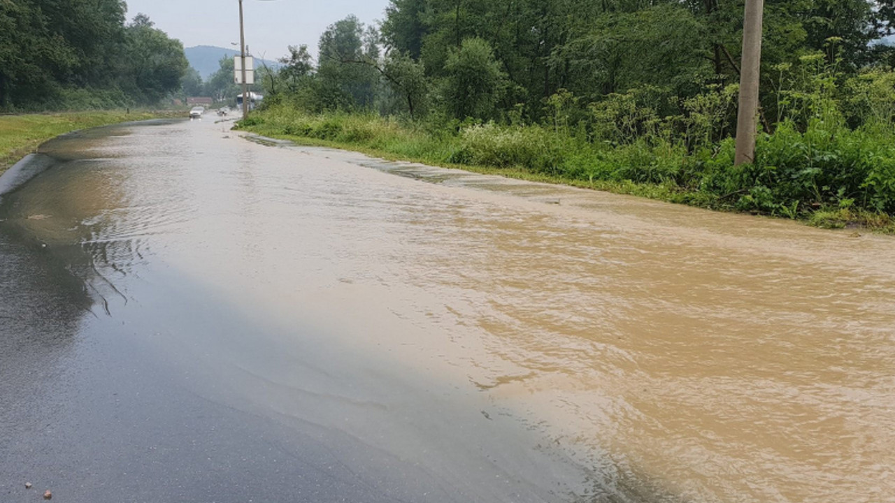 Kosjerić