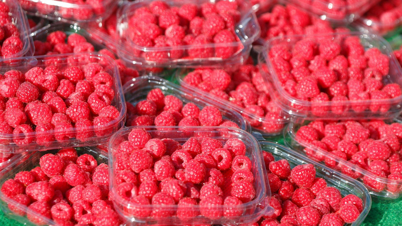 Maline