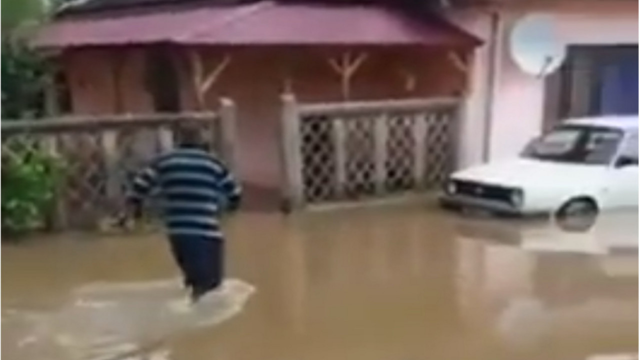 poplave