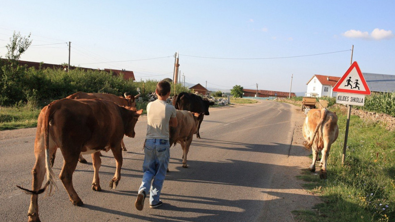Kosovo