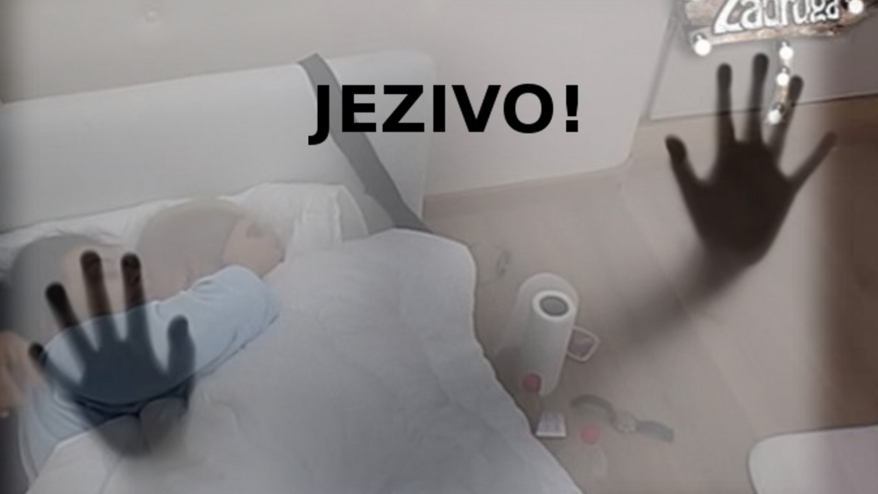 Zadruga