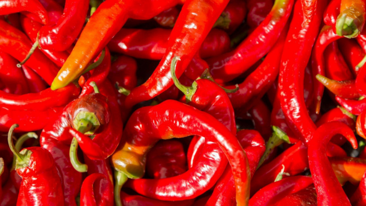 Paprika