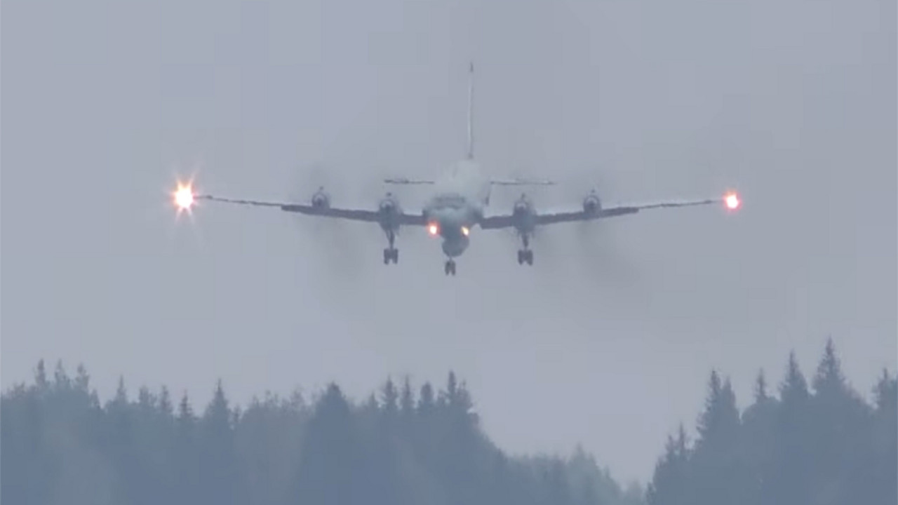 IL-20
