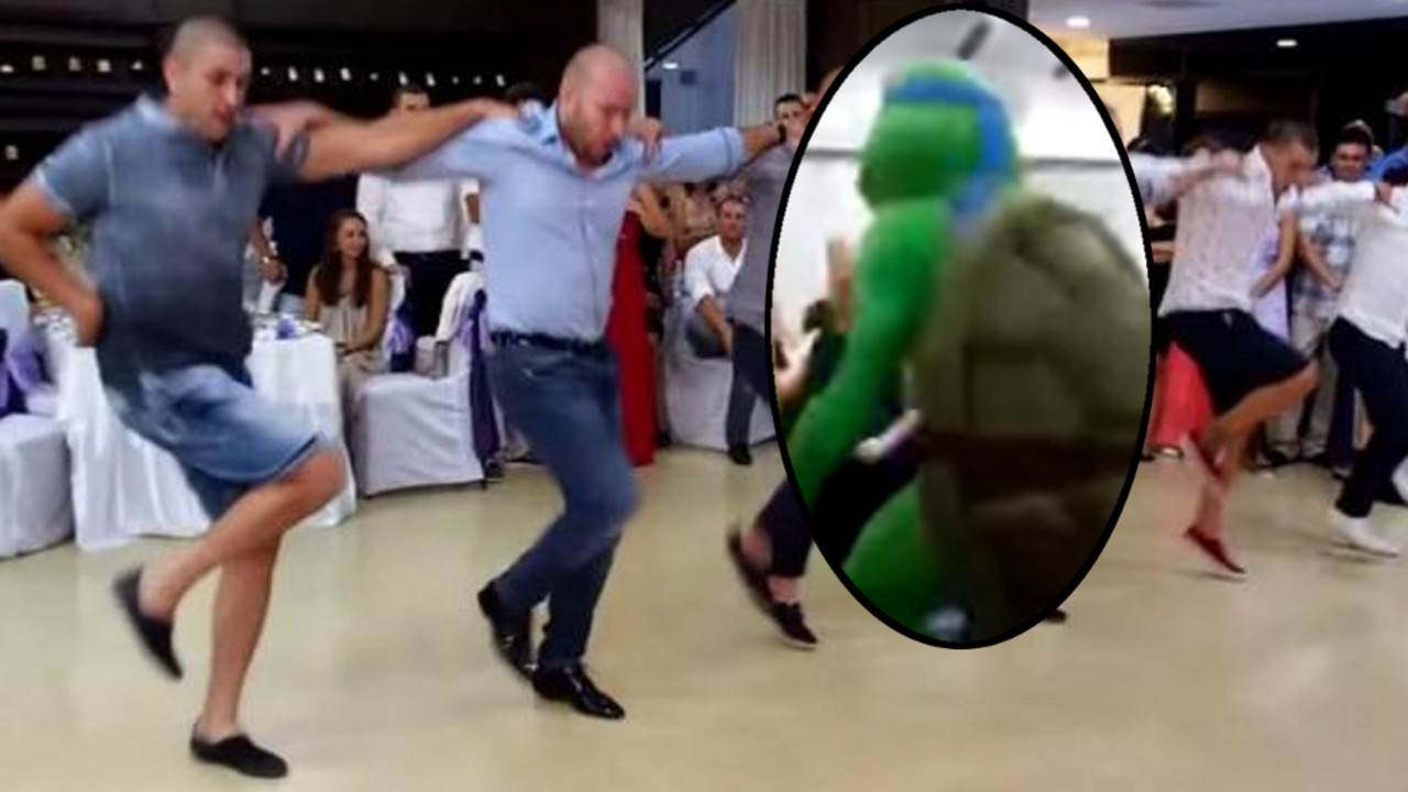 Nindža kolo