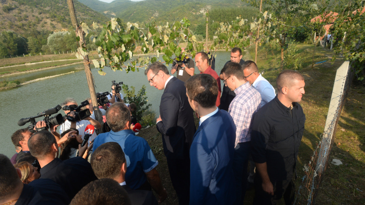 vucic